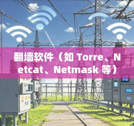 翻墙软件（如 Torre、Netcat、Netmask 等）是用来绕过防火墙的工具，适用于网络访问。以下是一个详细的安装和使用教程，帮助你安装并使用翻墙软件