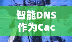 智能DNS作为CactusVPN中的核心功能,显著提升了网络访问的可靠性和安全性。以下是智能DNS的主要功能及其详细说明 智能DNS作为CactusVPN中的核心功能,显著提升了网络访问的可靠性和安全性。以下是智能DNS的主要功能及其详细说明