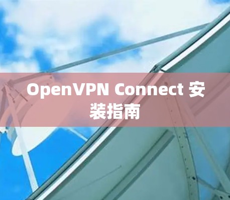 OpenVPN Connect 安装指南 OpenVPN Connect 安装指南