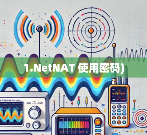 1.NetNAT 使用密码) 1.NetNAT 使用密码)