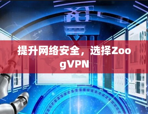 提升网络安全,选择ZoogVPN 提升网络安全,选择ZoogVPN