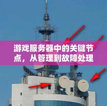 游戏服务器中的关键节点,从管理到故障处理的全貌解析 游戏服务器中的关键节点,从管理到故障处理的全貌解析