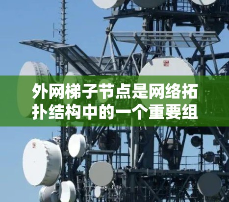 外网梯子节点是网络拓扑结构中的一个重要组成部分,通常用于分层网络。以下是对外网梯子节点的详细介绍和实现步骤 外网梯子节点是网络拓扑结构中的一个重要组成部分,通常用于分层网络。以下是对外网梯子节点的详细介绍和实现步骤