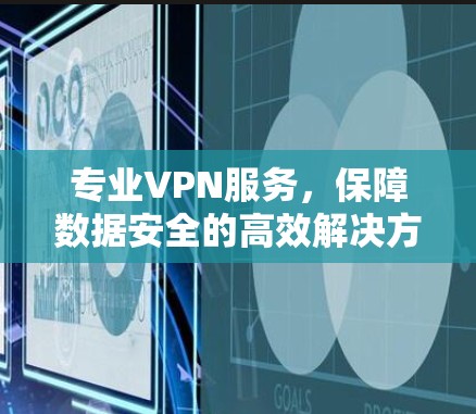 专业VPN服务，保障数据安全的高效解决方案