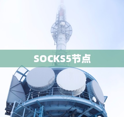 SOCKS5节点