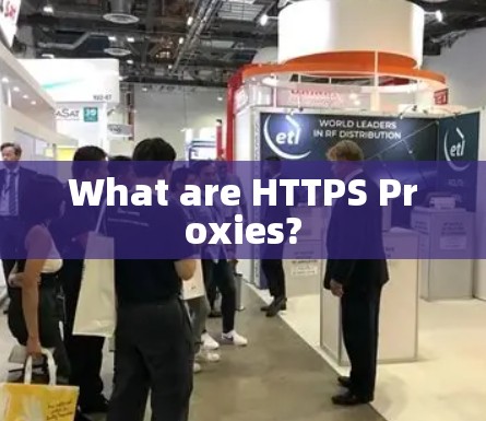 What are HTTPS Proxies? What are HTTPS Proxies?