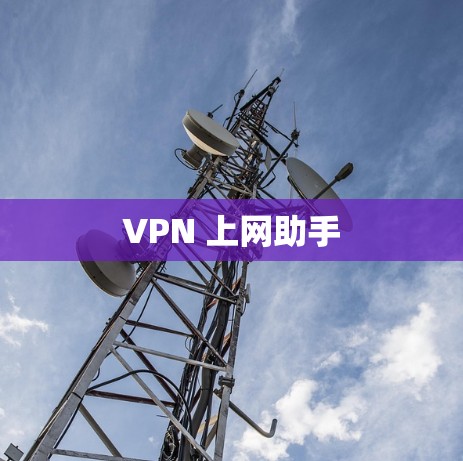 VPN 上网助手 VPN 上网助手