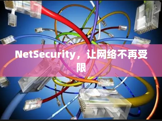 NetSecurity,让网络不再受限 NetSecurity,让网络不再受限