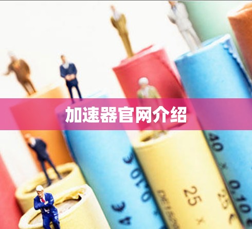 加速器官网介绍 加速器官网介绍