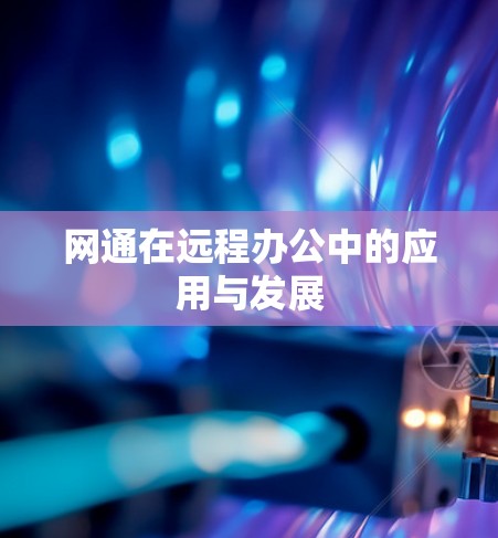 网通在远程办公中的应用与发展
