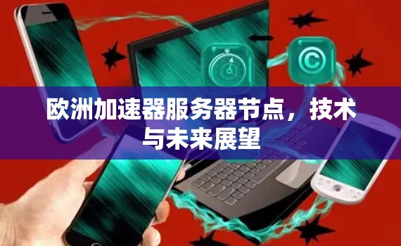 欧洲加速器服务器节点，技术与未来展望