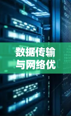 数据传输与网络优化平台，助力全球通信的高效与安全