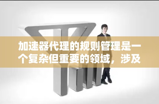 加速器代理的规则管理是一个复杂但重要的领域，涉及多个方面，从基本操作到高级功能，以及工具和编程技巧的应用。以下是对该领域的详细介绍和总结