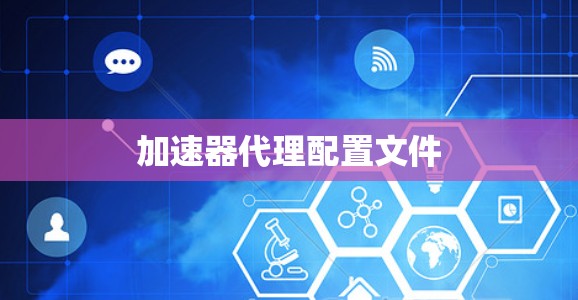 加速器代理配置文件