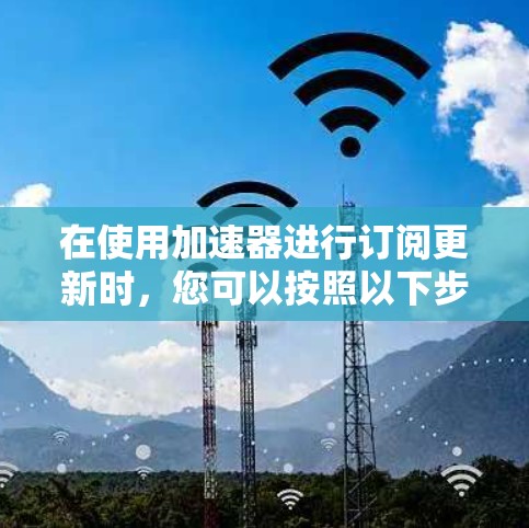 在使用加速器进行订阅更新时，您可以按照以下步骤进行操作