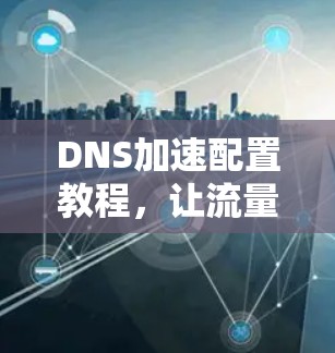 DNS加速配置教程，让流量如自由流！